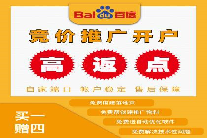 百度推广案例：成功打造行业领军品牌